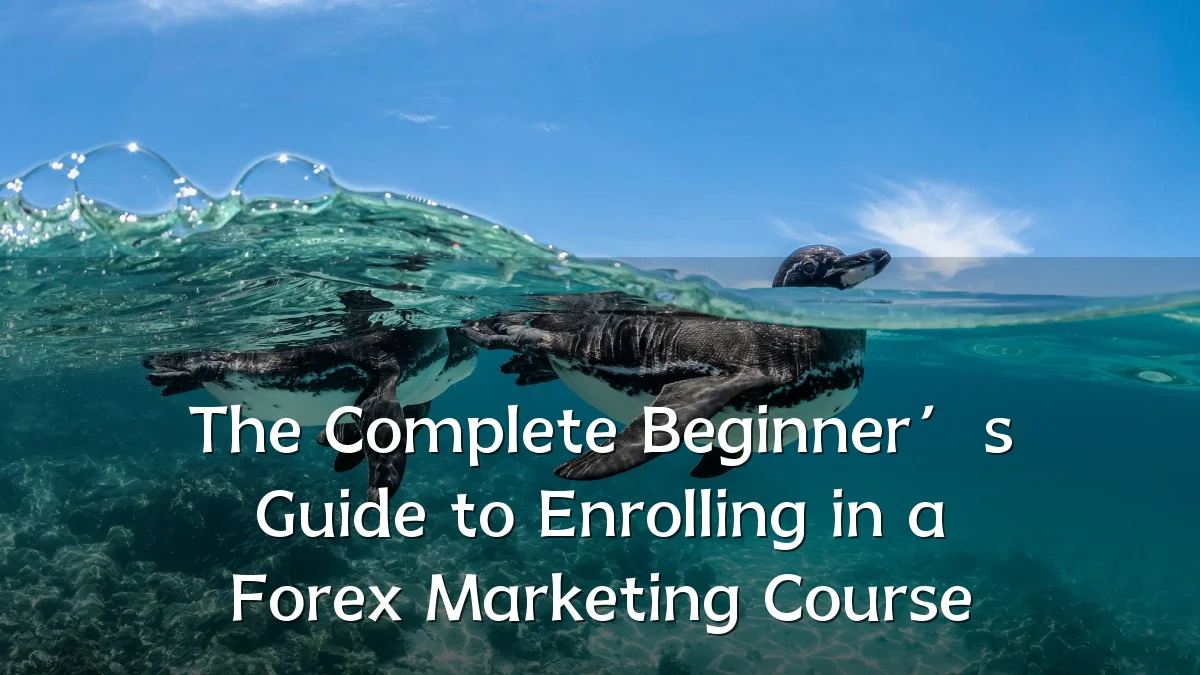The Complete Beginner’s Guide to Enrolling in a Forex Marketing Course