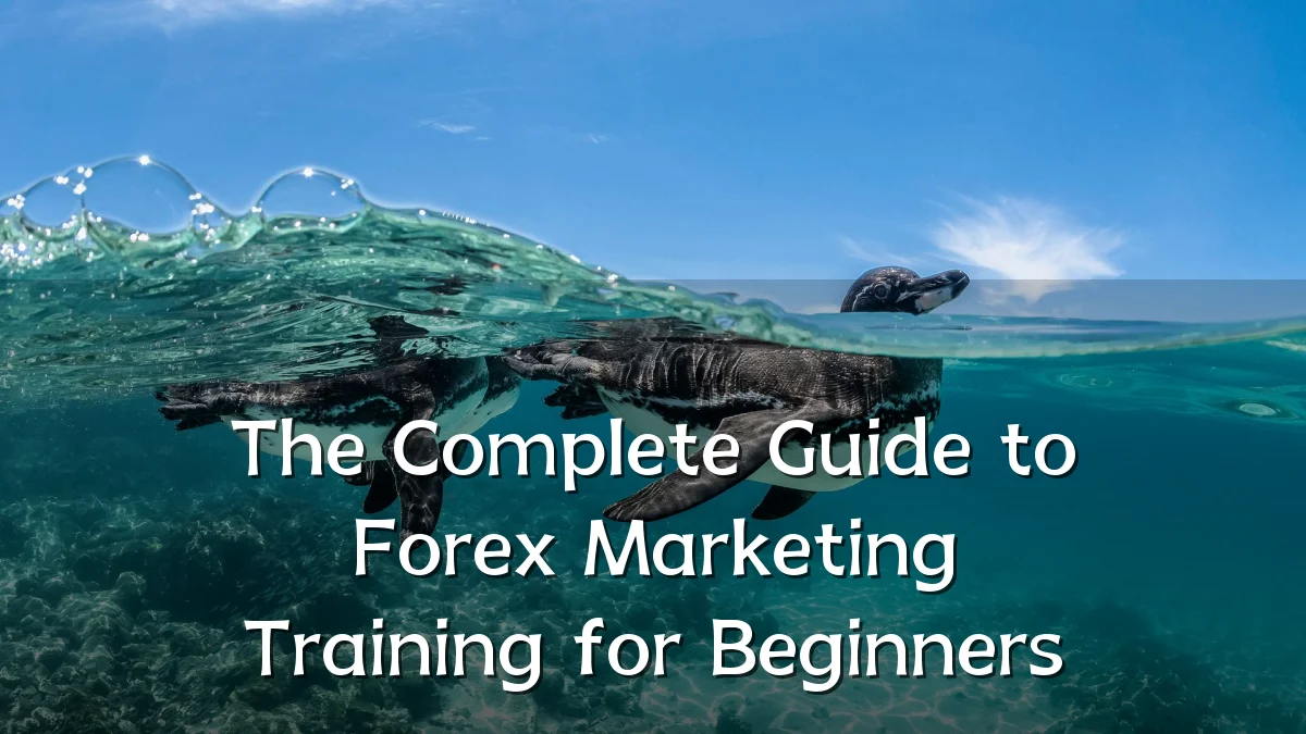 The Complete Guide to Forex Marketing Training for Beginners