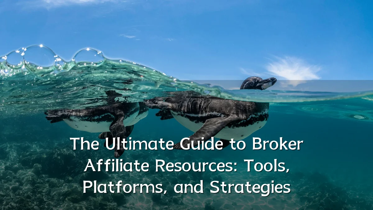 The Ultimate Guide to Broker Affiliate Resources: Tools, Platforms, and Strategies