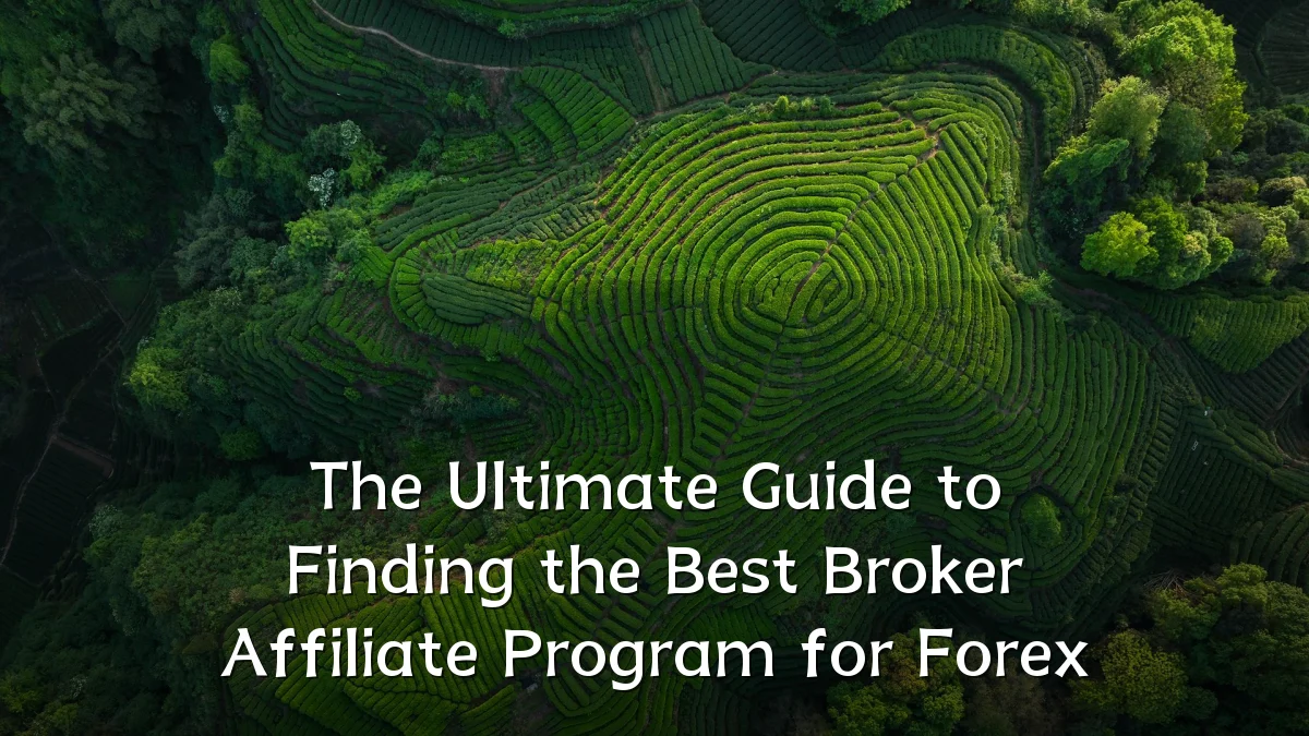 The Ultimate Guide to Finding the Best Broker Affiliate Program for Forex