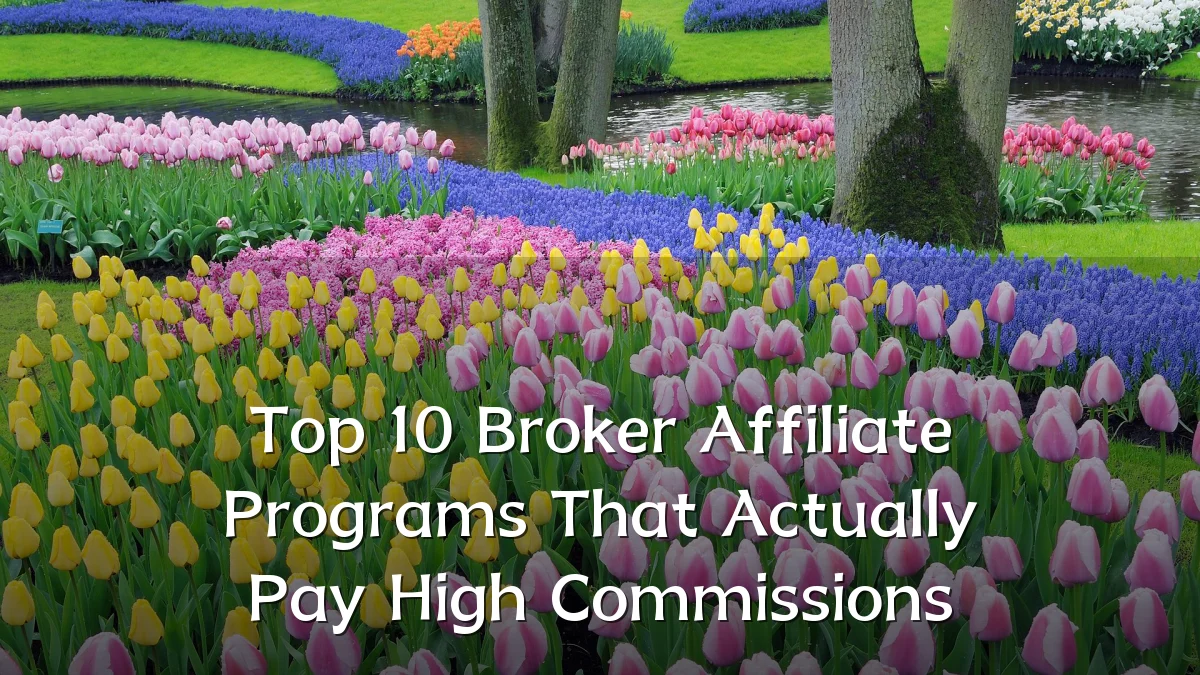 Top 10 Broker Affiliate Programs That Actually Pay High Commissions