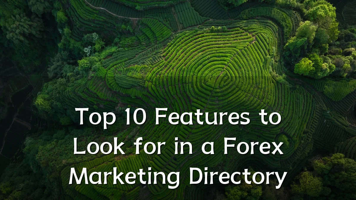 Top 10 Features to Look for in a Forex Marketing Directory