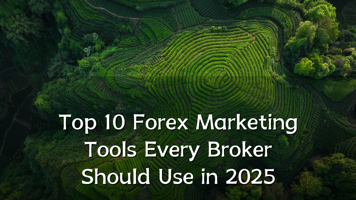 Top 10 Forex Marketing Tools Every Broker Should Use in 2025