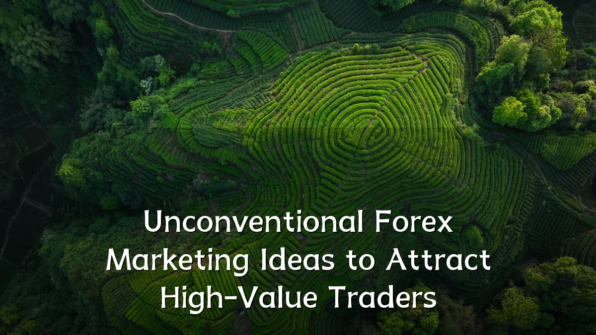 Unconventional Forex Marketing Ideas to Attract High-Value Traders