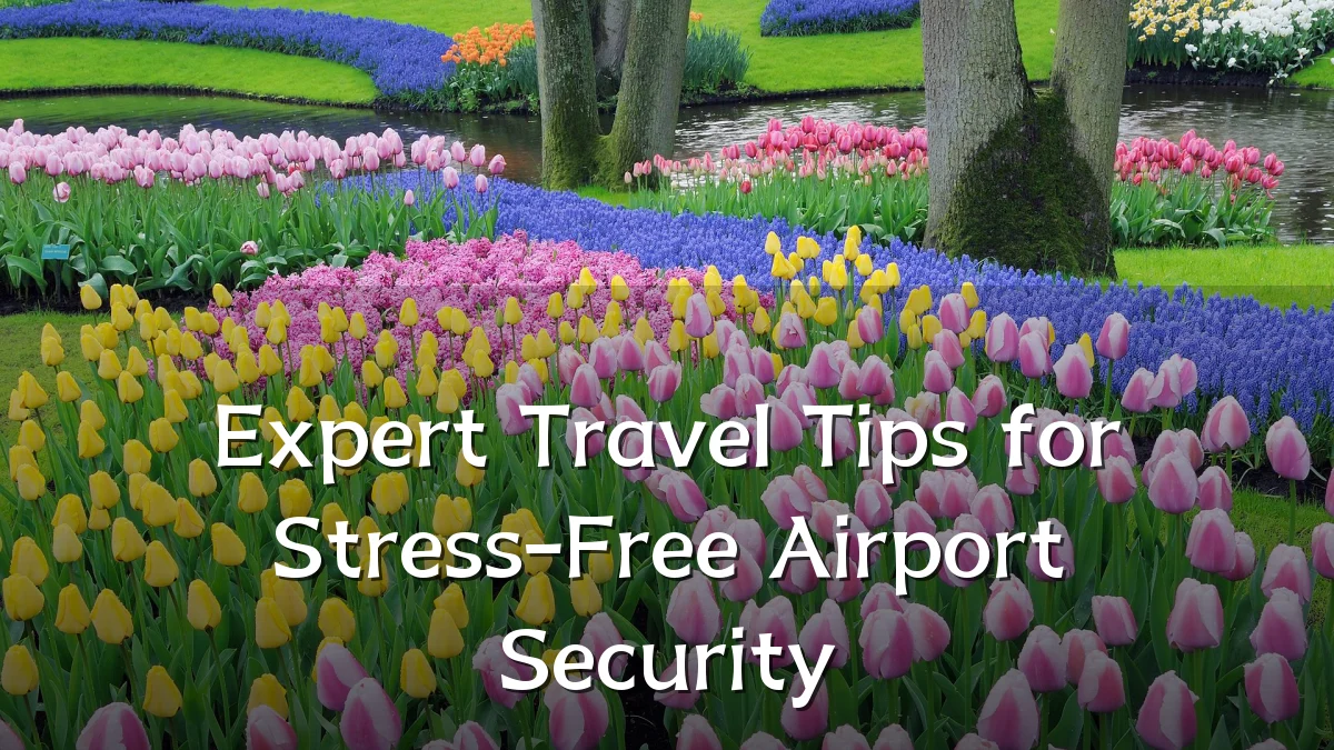 Expert Travel Tips for Stress-Free Airport Security