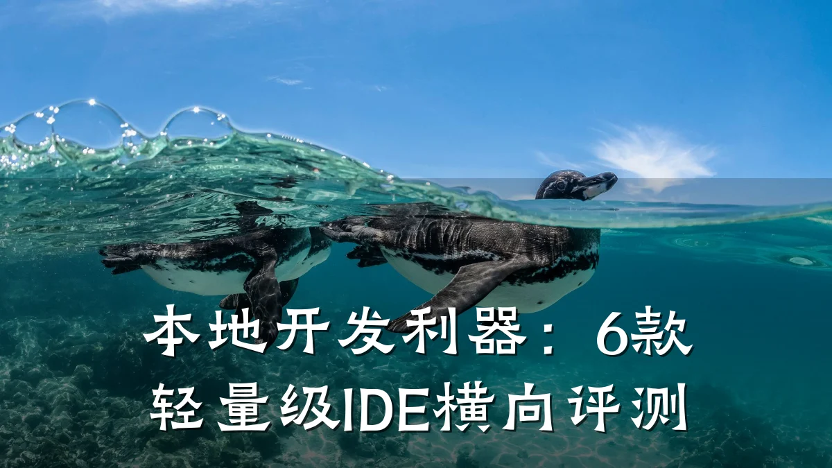 本地开发利器：6款轻量级IDE横向评测