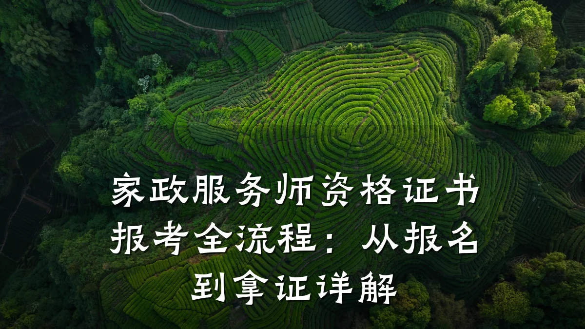 家政服务师资格证书报考全流程：从报名到拿证详解