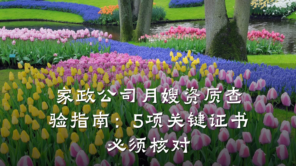 家政公司月嫂资质查验指南：5项关键证书必须核对