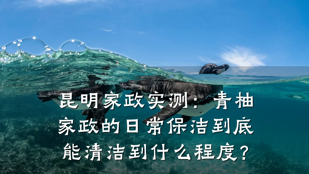 昆明家政实测：青柚家政的日常保洁到底能清洁到什么程度？