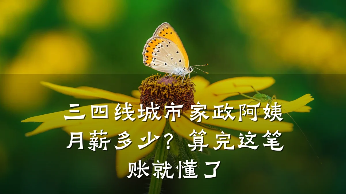 三四线城市家政阿姨月薪多少？算完这笔账就懂了