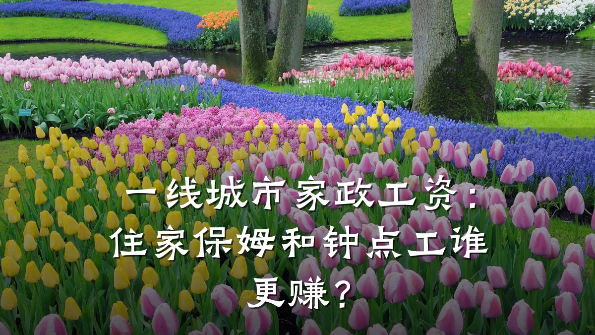 一线城市家政工资：住家保姆和钟点工谁更赚？