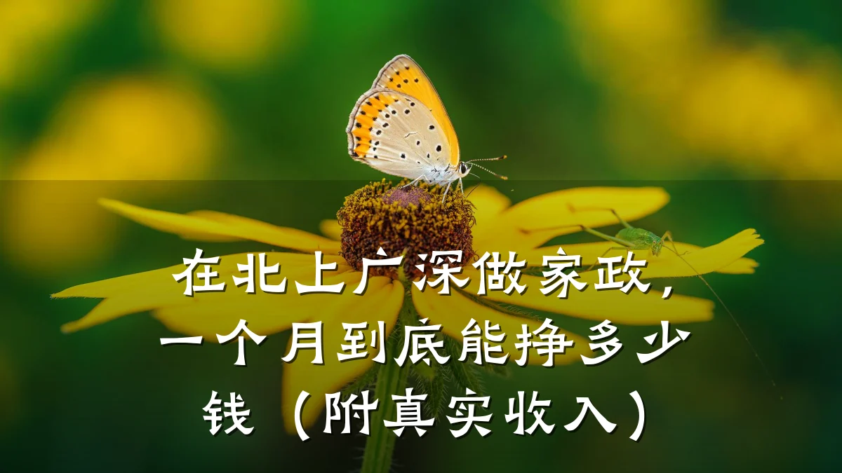 在北上广深做家政，一个月到底能挣多少钱（附真实收入）