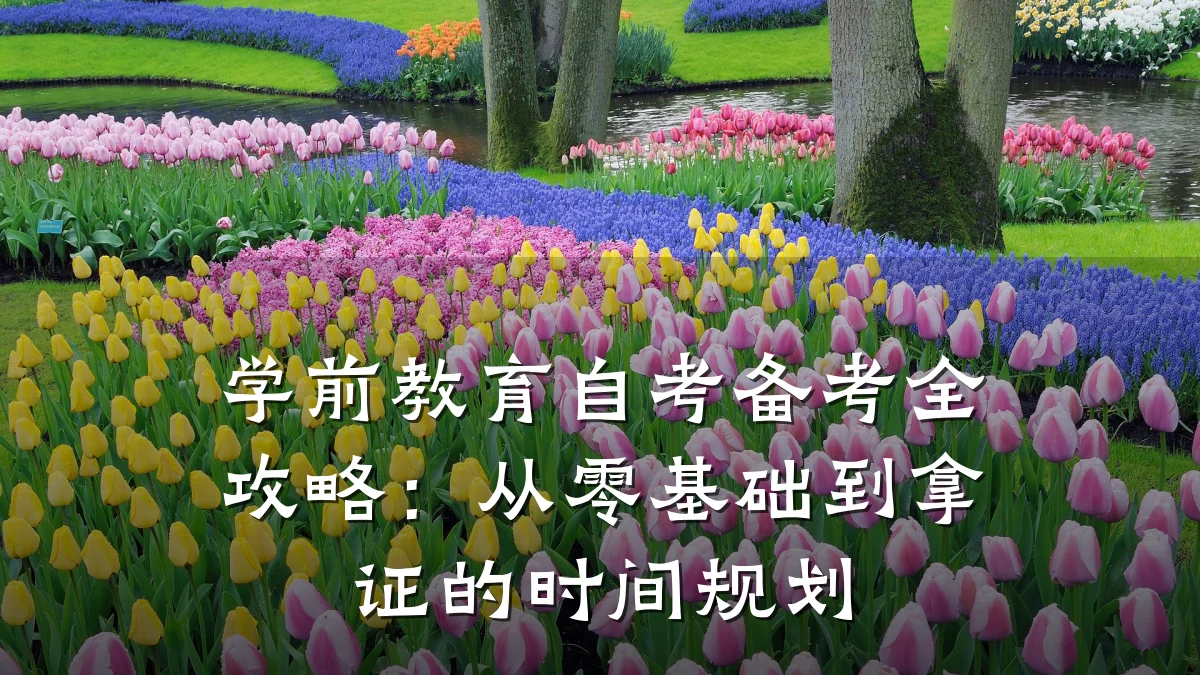 学前教育自考备考全攻略:从零基础到拿证的时间规划